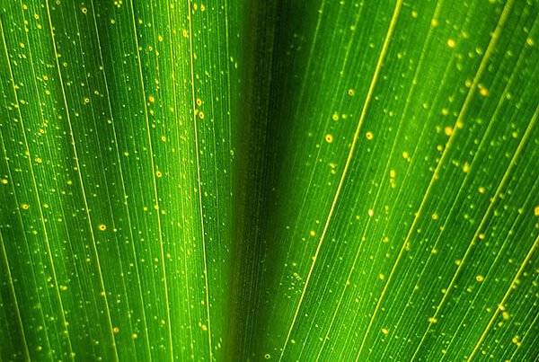 vlad kutepov NXyPvKgNnWg unsplash 2